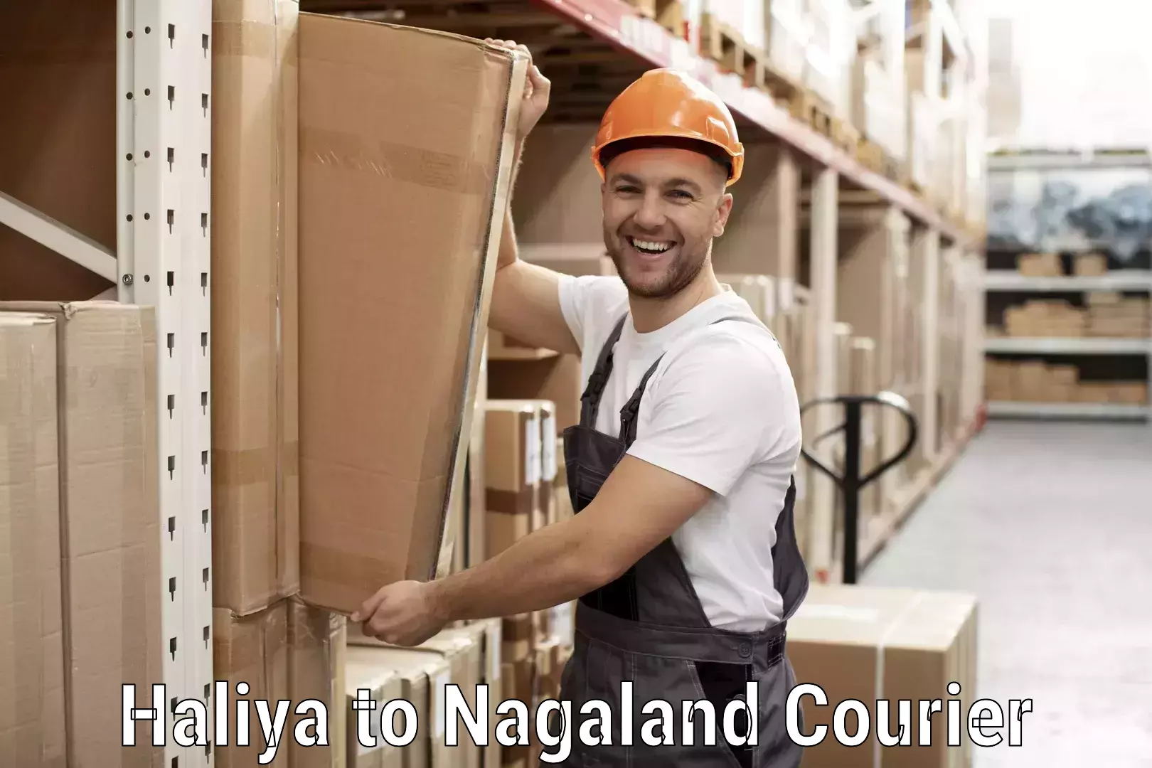 Domestic delivery options Haliya to NIT Nagaland