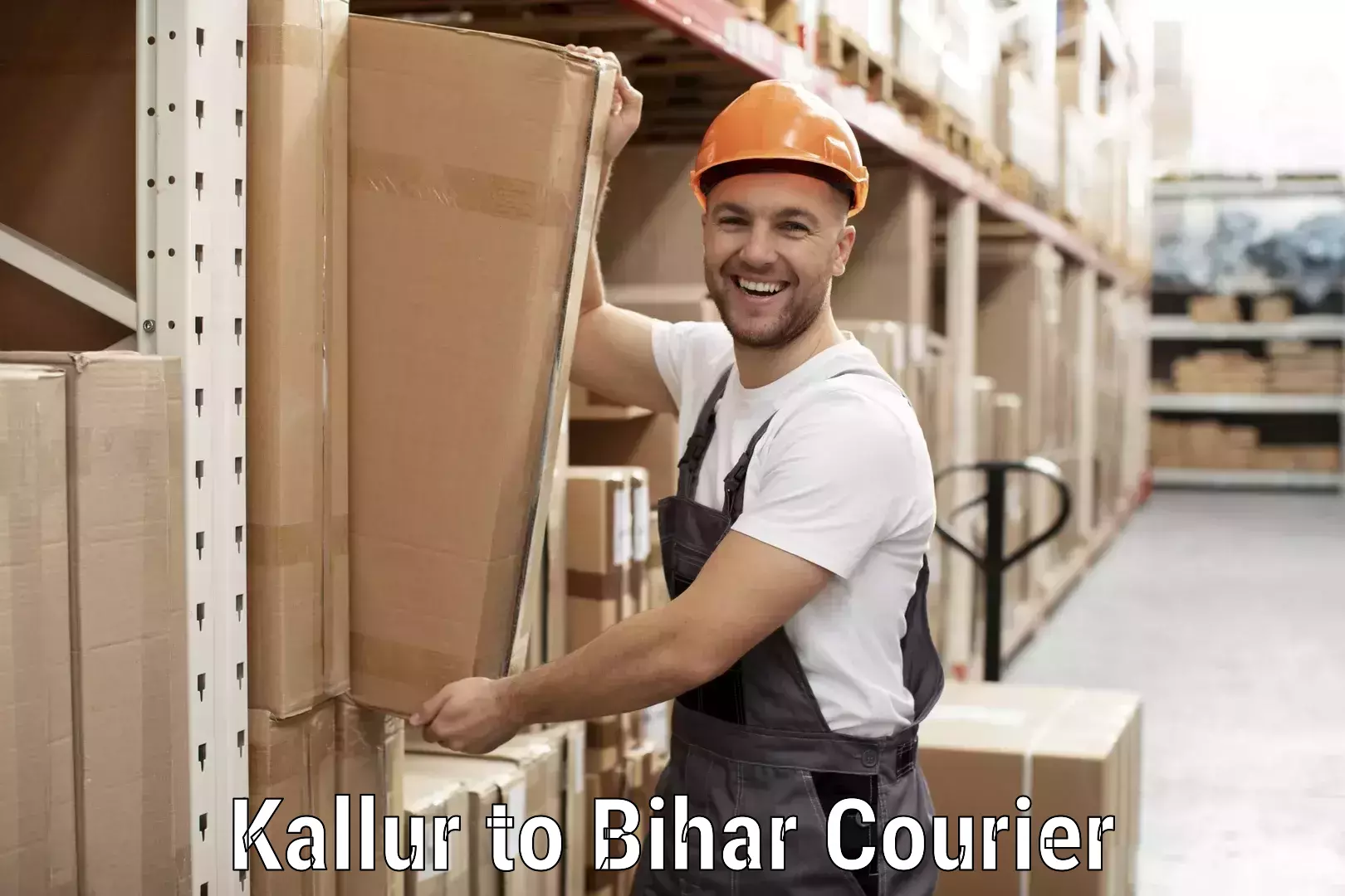 Comprehensive parcel tracking Kallur to Kanker Nabinagar