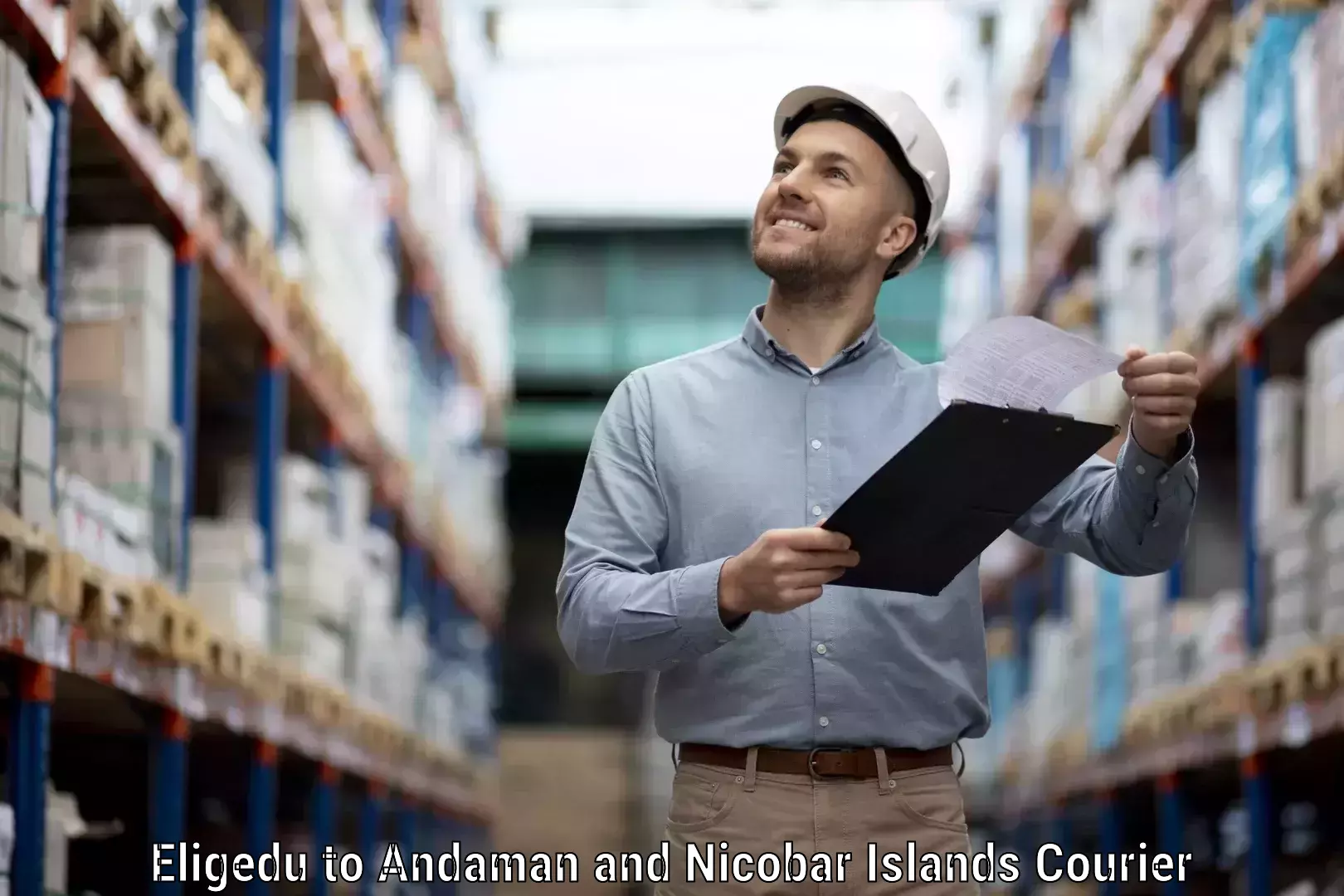 Courier insurance Eligedu to Andaman and Nicobar Islands