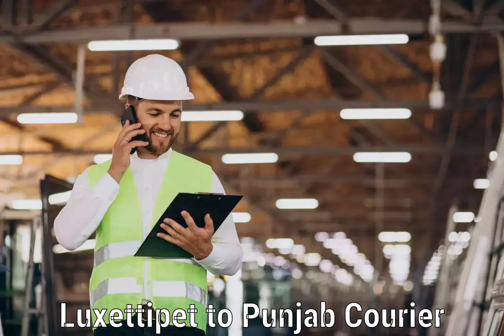 Overnight delivery services Luxettipet to Punjab