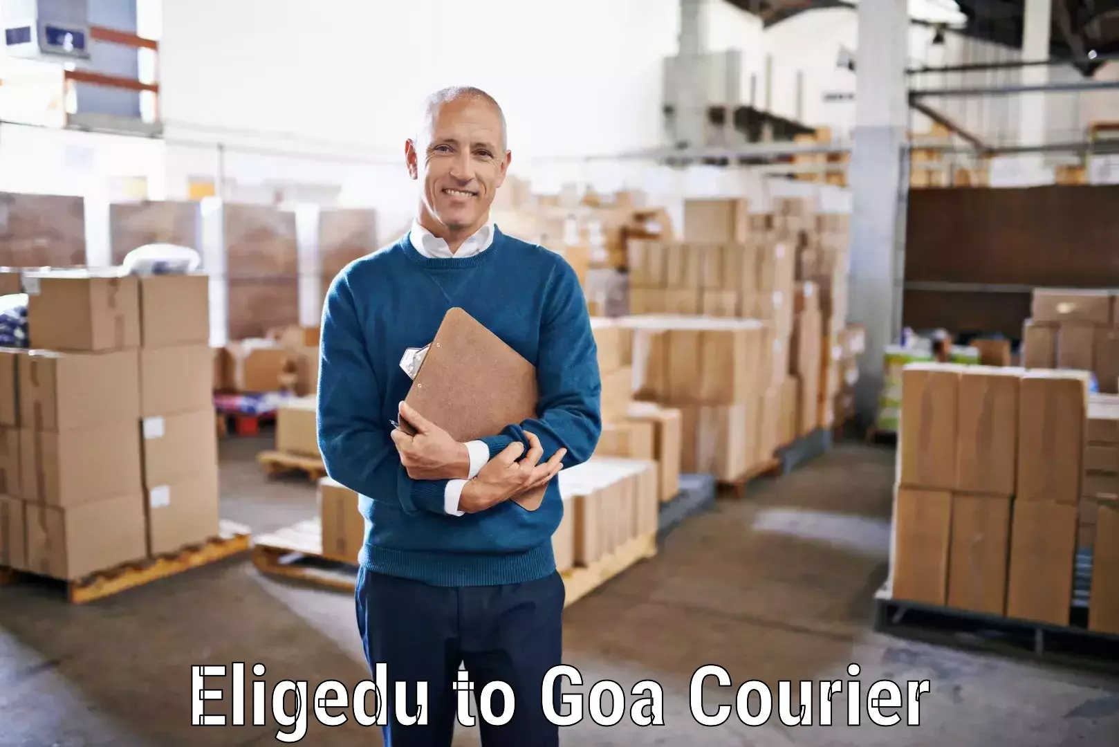 Business shipping needs Eligedu to Goa University