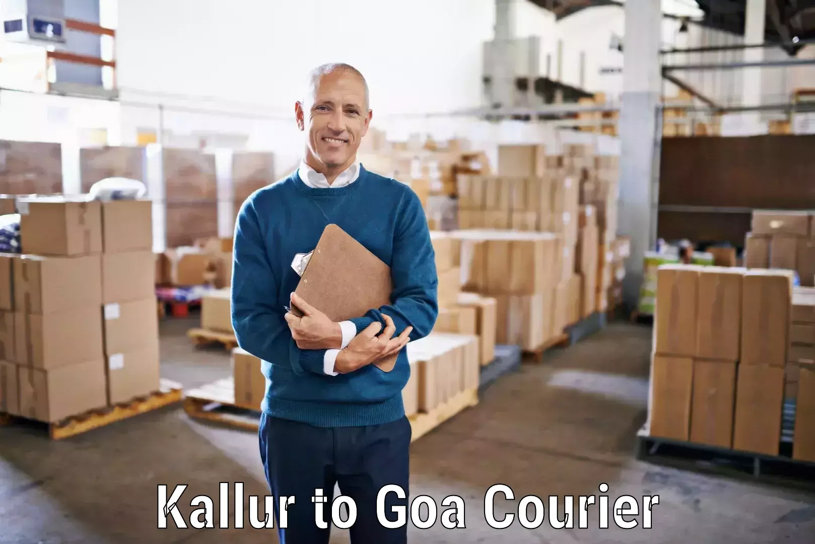 Specialized courier services Kallur to South Goa