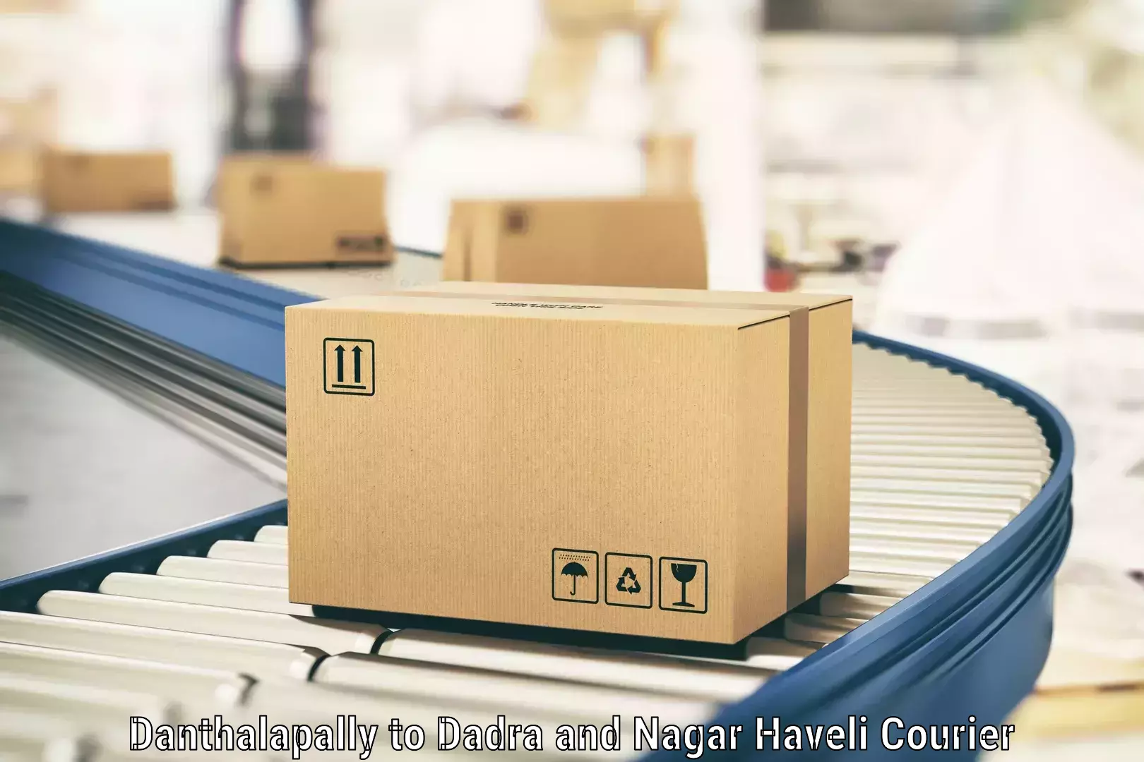 Parcel handling and care in Danthalapally to Dadra and Nagar Haveli
