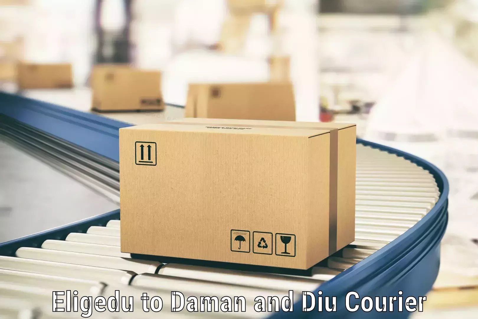 Express package handling in Eligedu to Daman and Diu