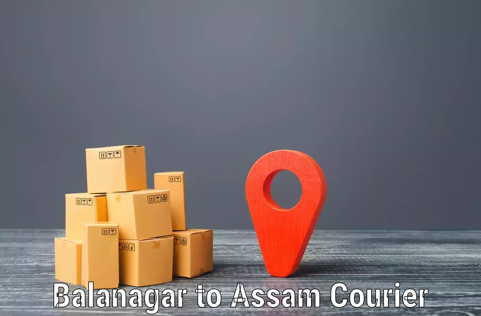 Custom courier packages Balanagar to Nazira