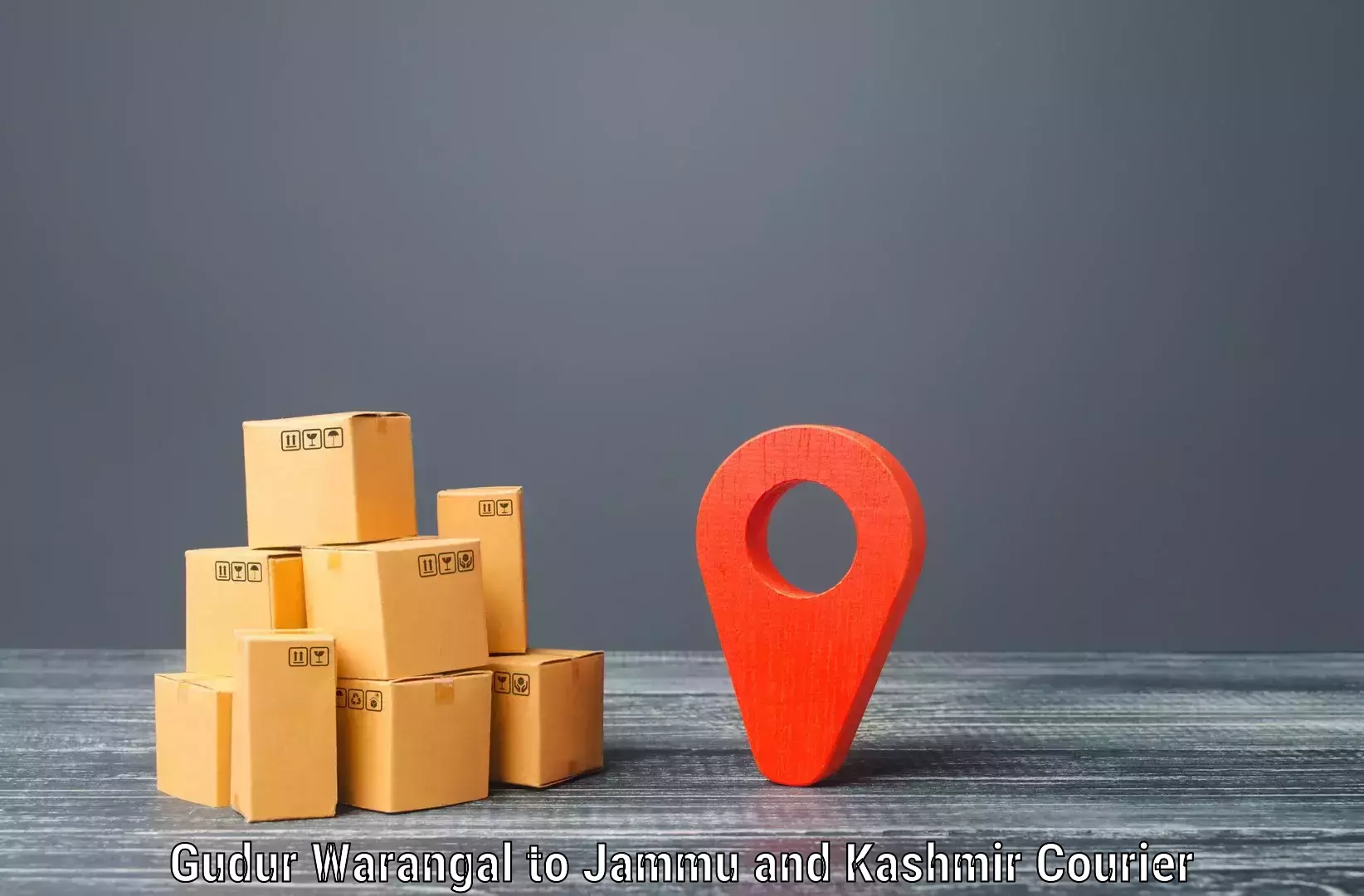 Efficient cargo services Gudur Warangal to University of Jammu
