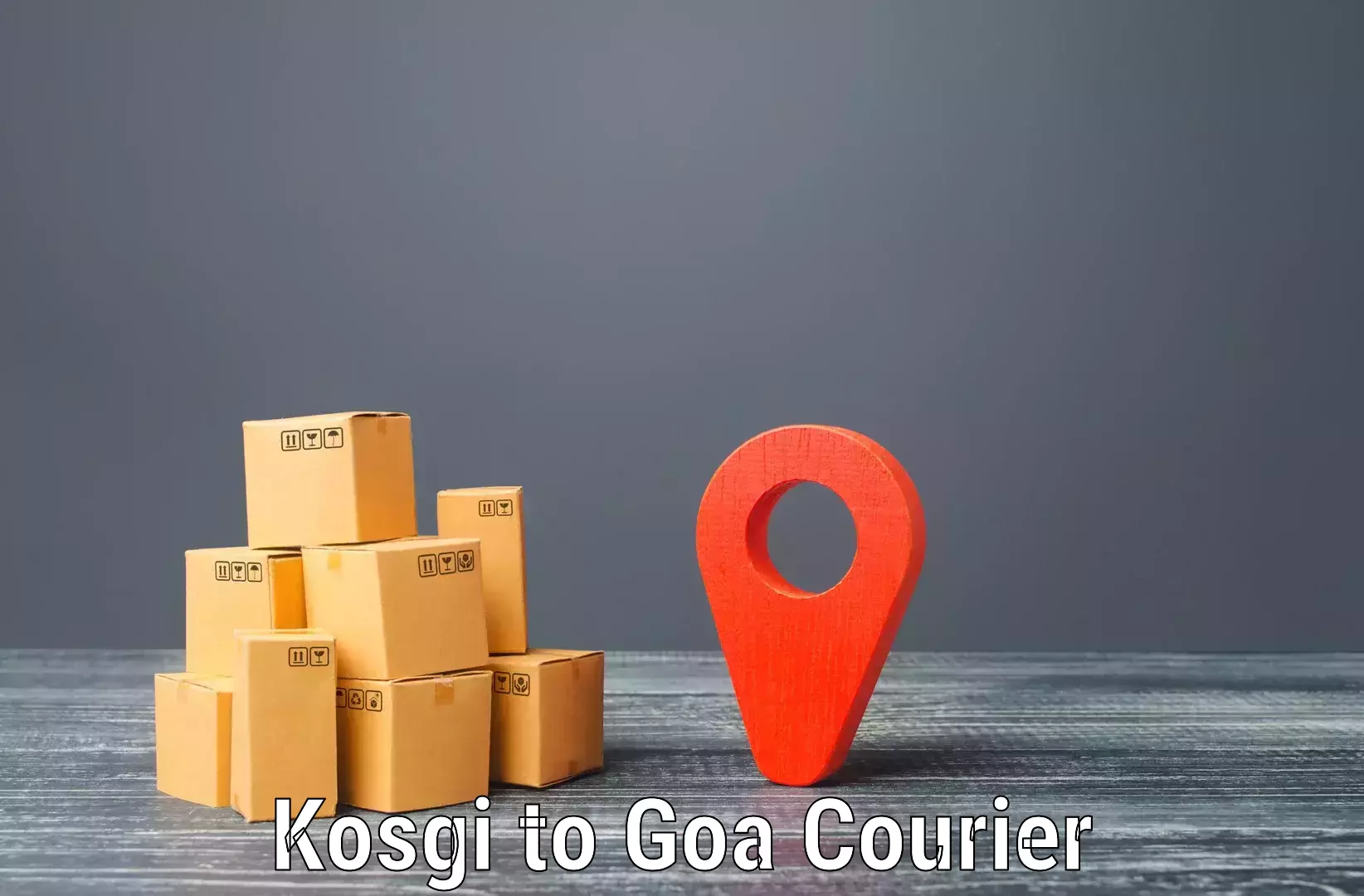 International courier networks Kosgi to Panjim