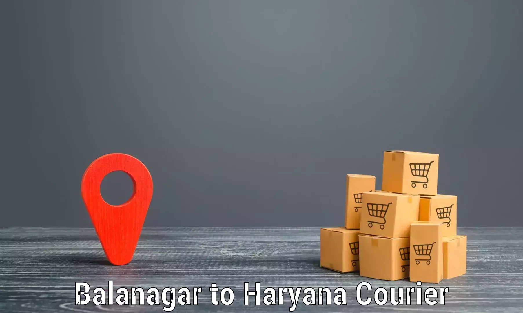 Automated parcel services Balanagar to Charkhi Dadri