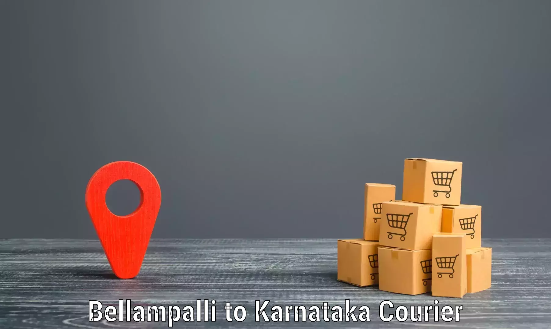 High-capacity parcel service Bellampalli to Krishnarajanagara