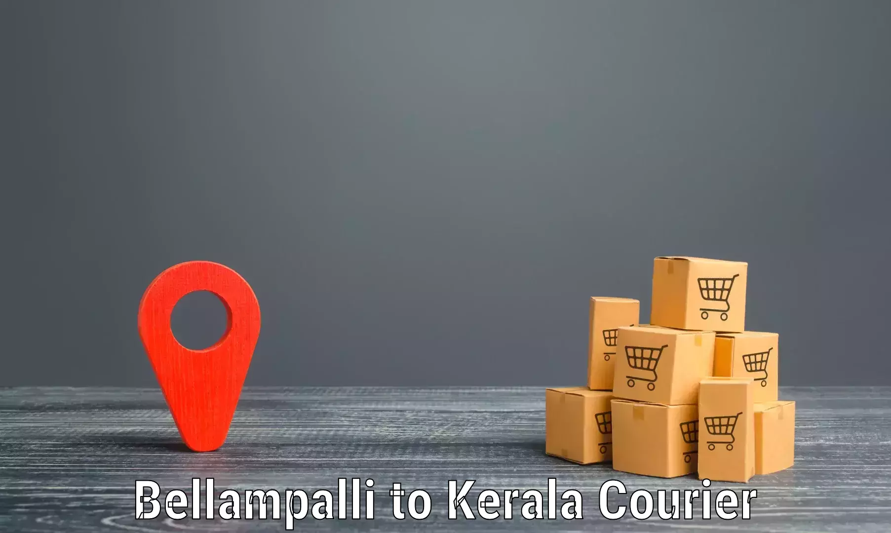 Small parcel delivery Bellampalli to Thrissur