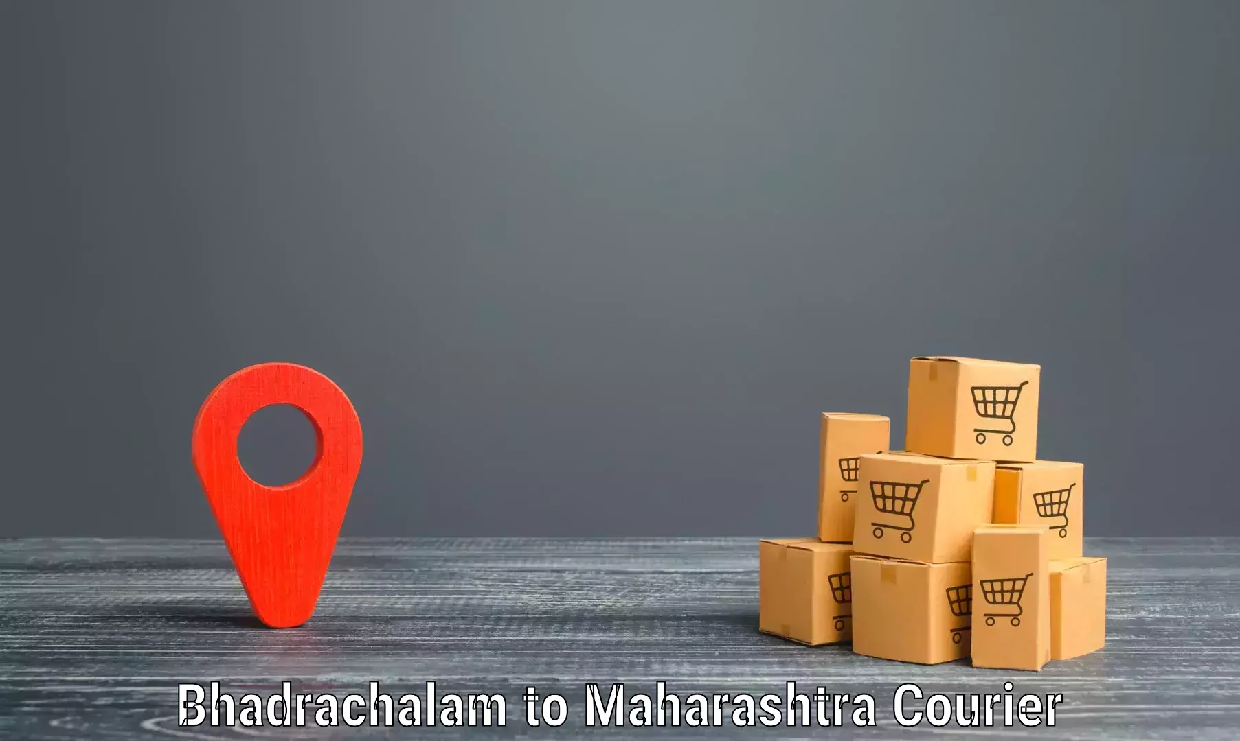 Versatile courier options Bhadrachalam to DY Patil Vidyapeeth Pune