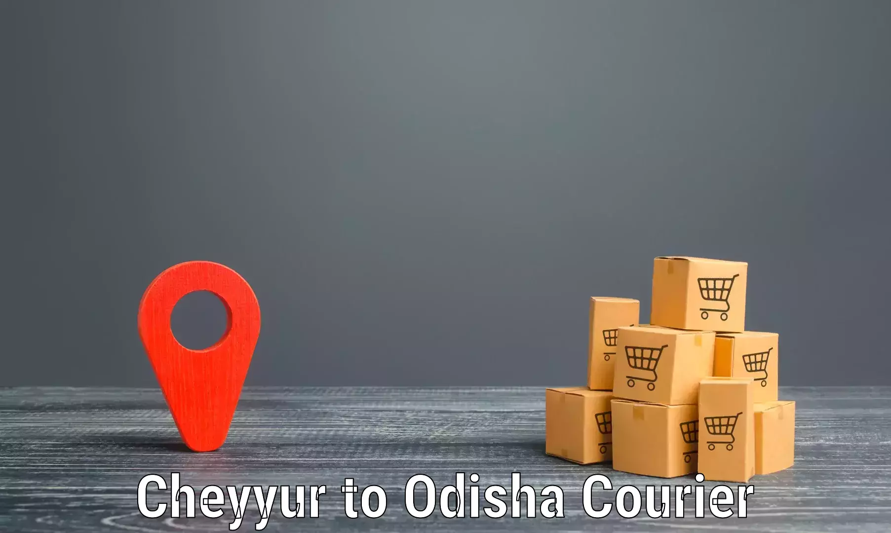 Professional courier services Cheyyur to IIT Bhubaneshwar