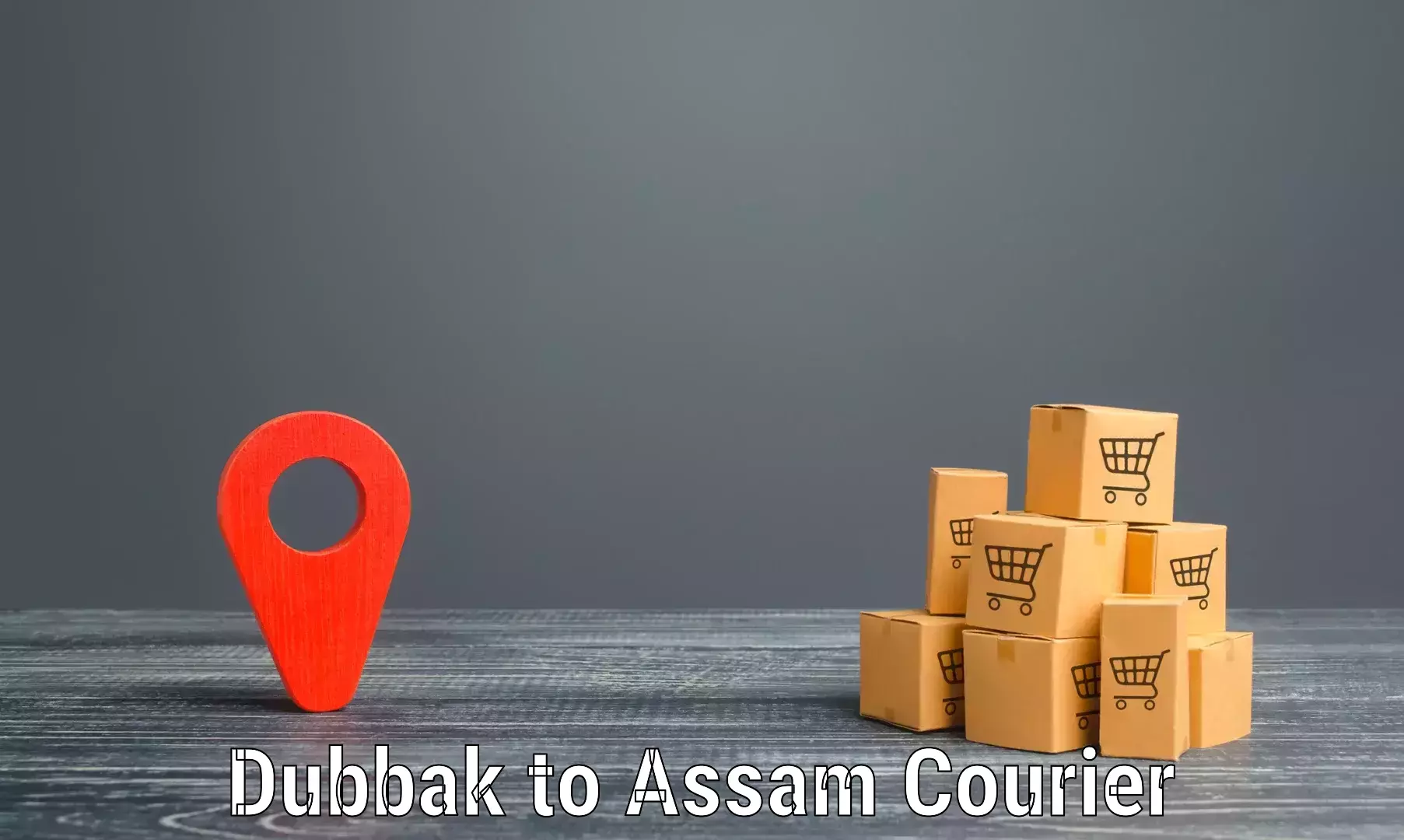 Courier service partnerships in Dubbak to Assam University Silchar