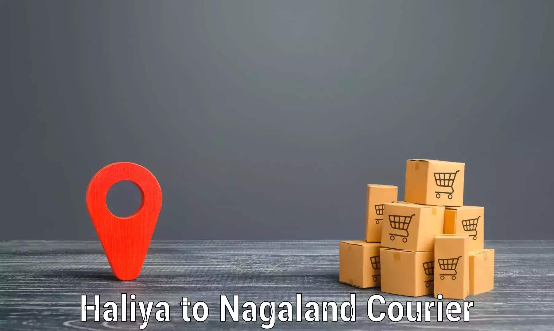 Versatile courier options Haliya to Kohima