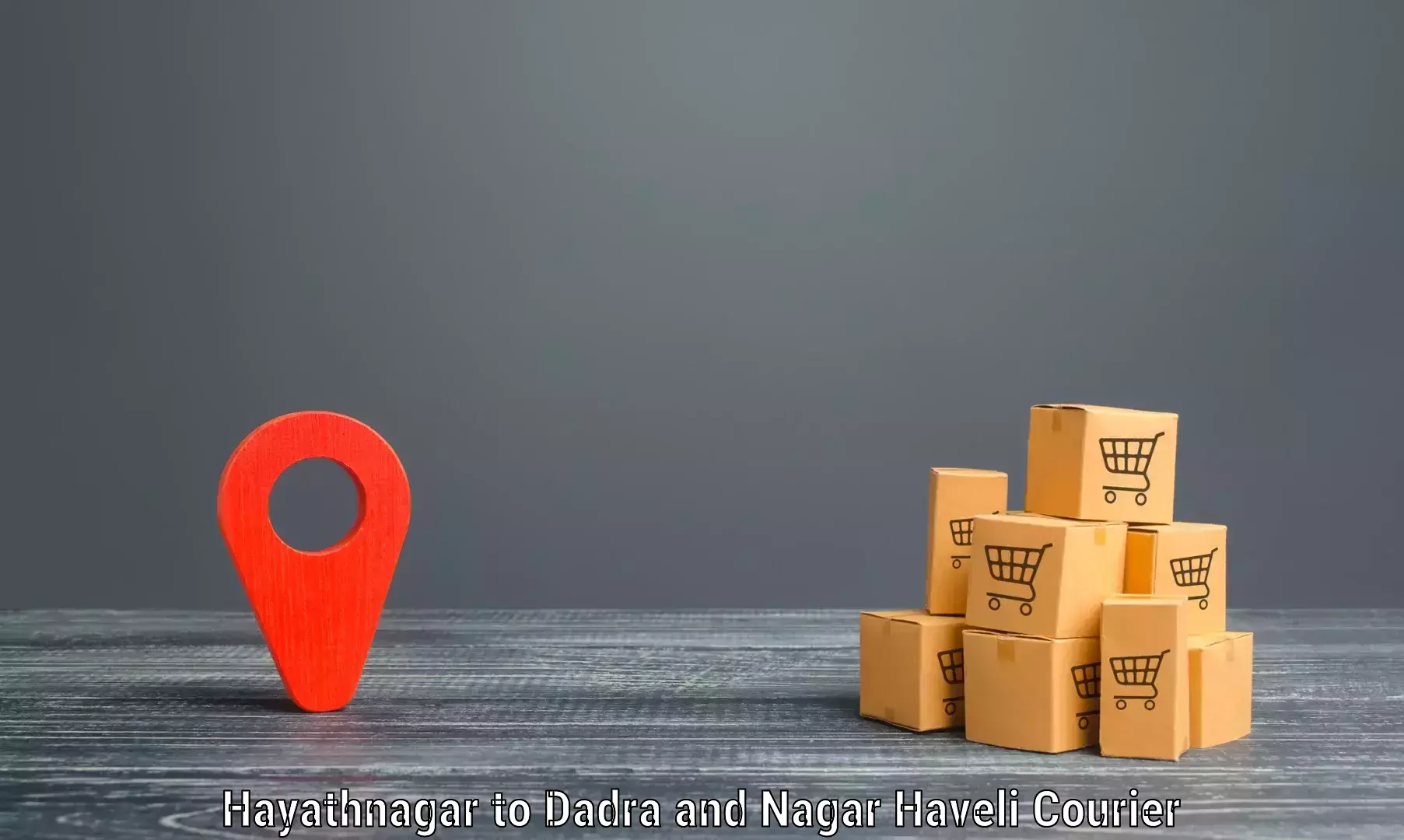 Flexible parcel services Hayathnagar to Silvassa