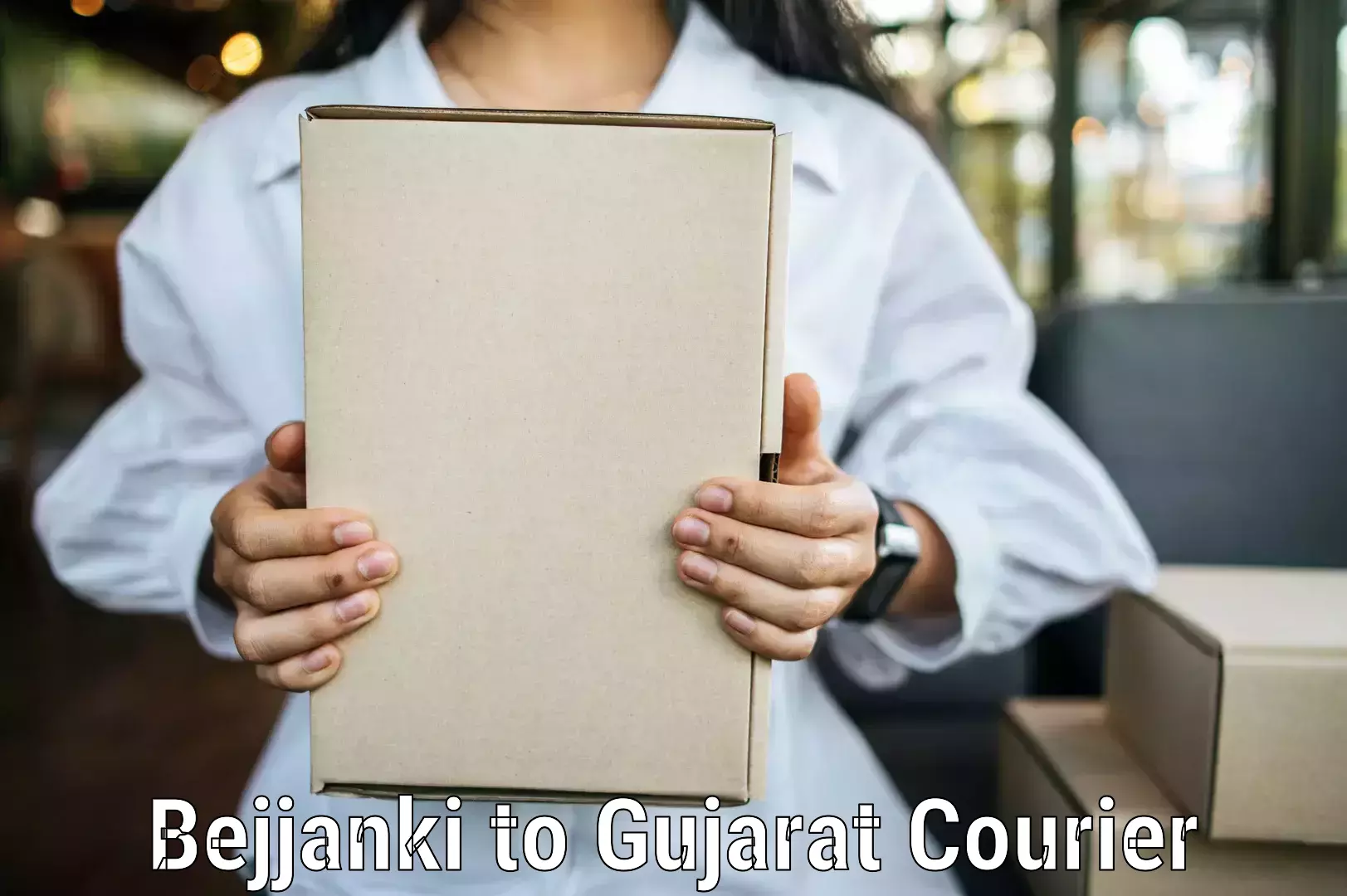 Package delivery network Bejjanki to NIT Surat