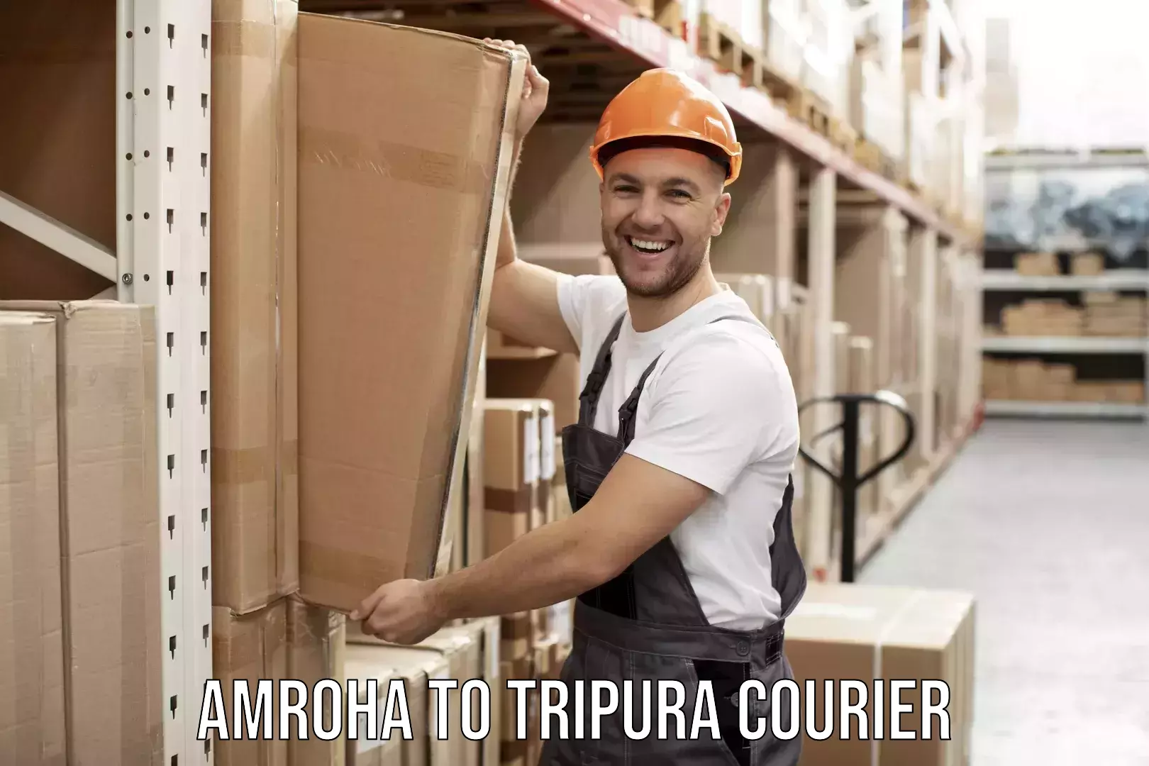 Home goods moving company Amroha to Udaipur Tripura