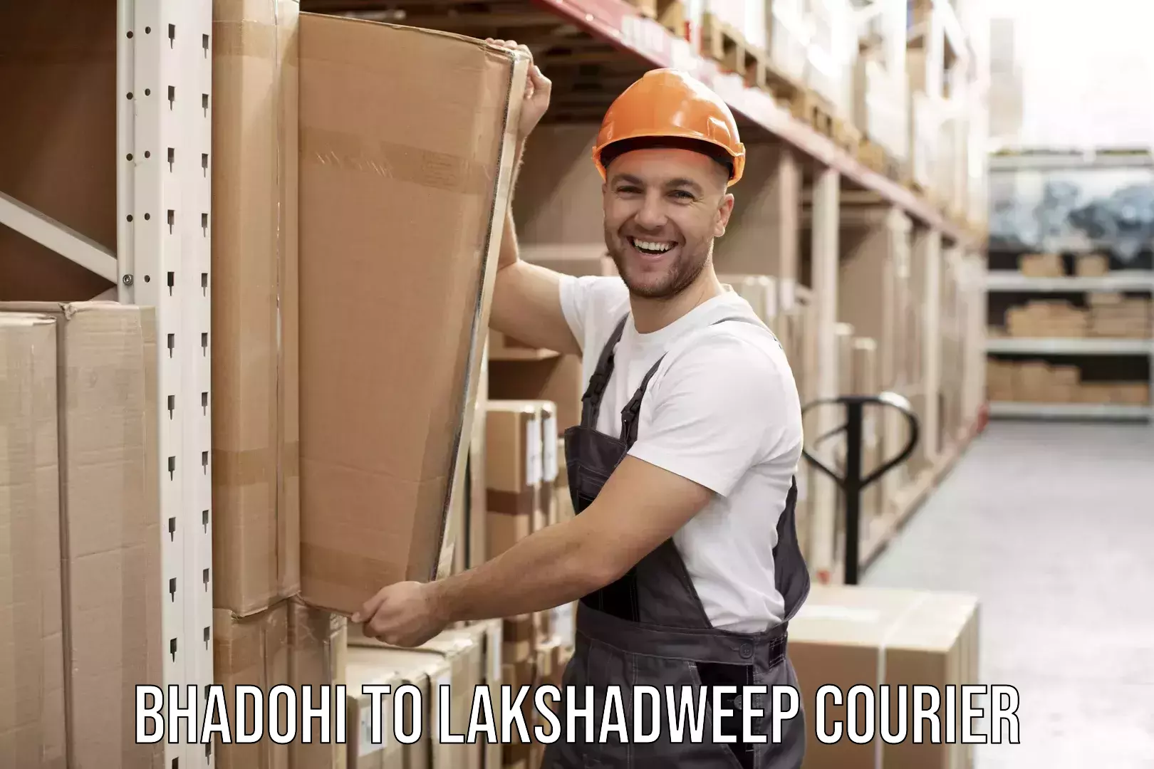 Furniture transport and logistics Bhadohi to Lakshadweep