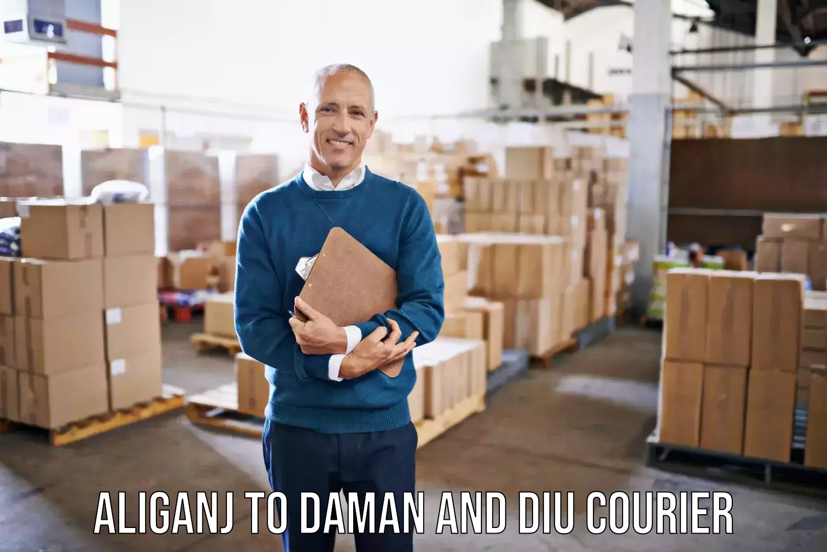 Household logistics services Aliganj to Daman and Diu