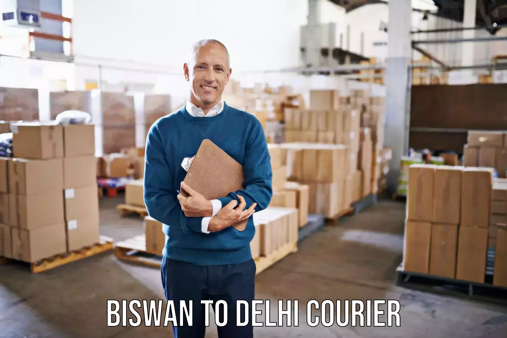 Door-to-door relocation services Biswan to Delhi Technological University DTU