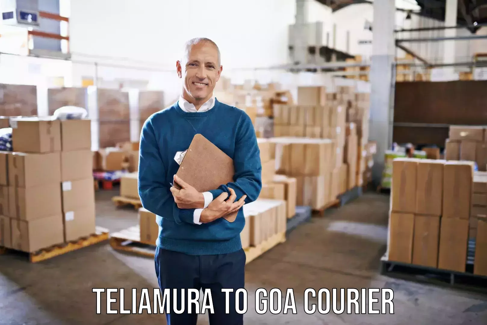 Cost-effective furniture movers Teliamura to Panaji