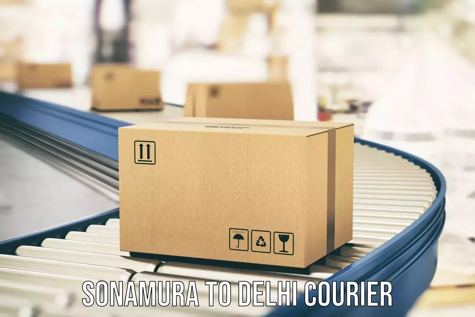 Expert goods movers Sonamura to Delhi