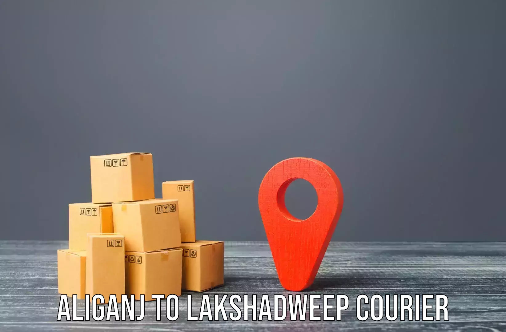 Budget-friendly moving services Aliganj to Lakshadweep