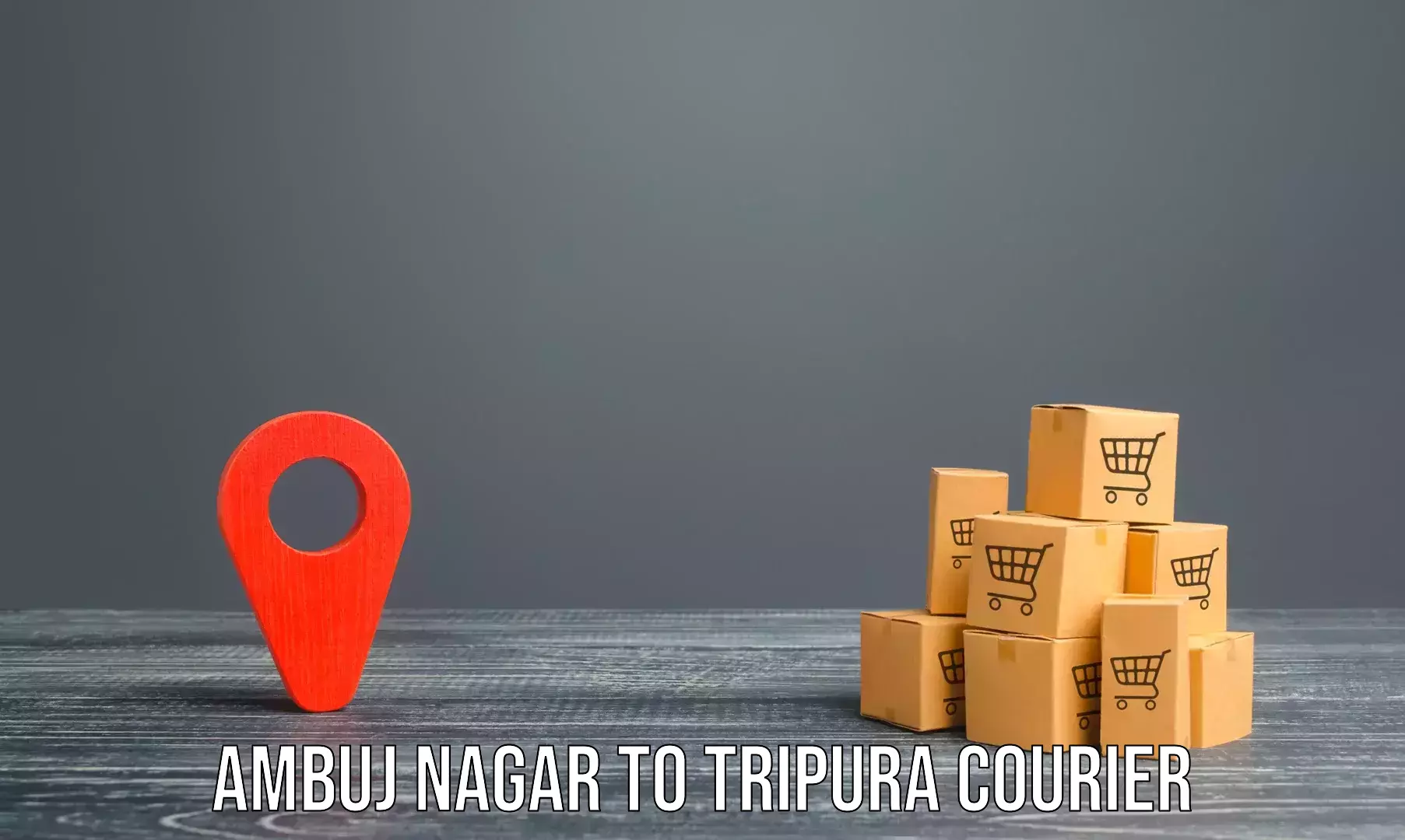 Custom moving plans Ambuj Nagar to North Tripura