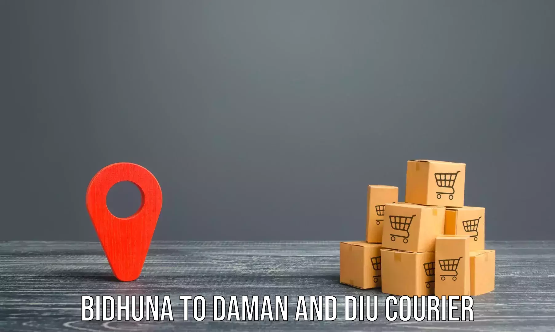 Advanced moving services Bidhuna to Daman