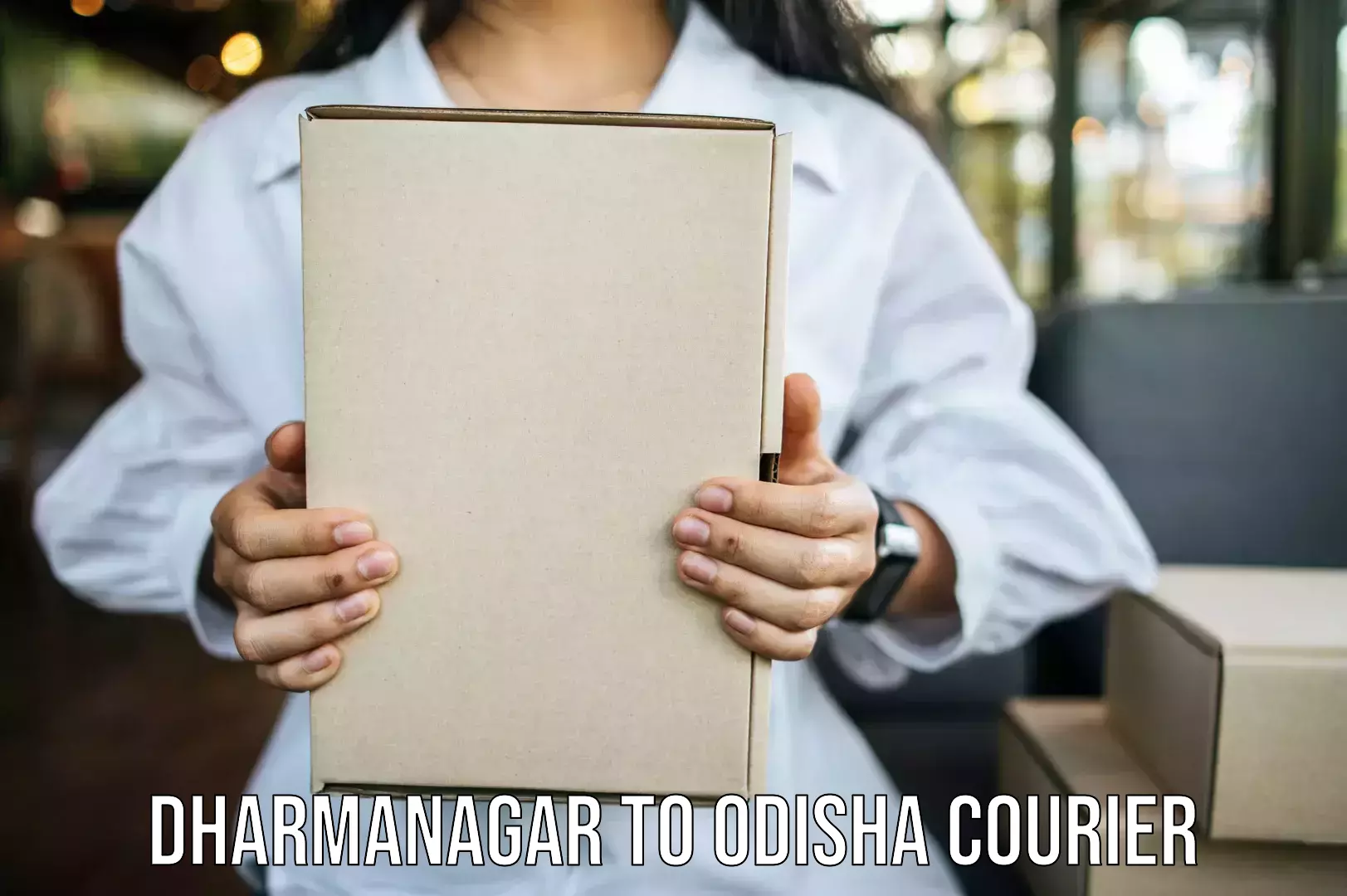 Professional moving assistance Dharmanagar to Agarpada