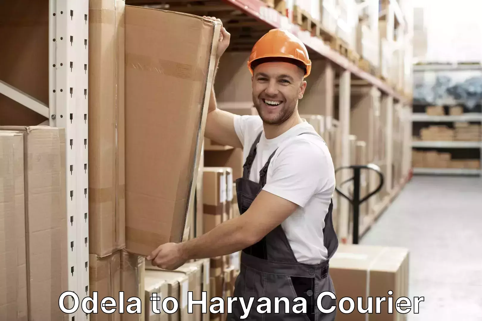 Single item baggage courier Odela to Maharshi Dayanand University Rohtak