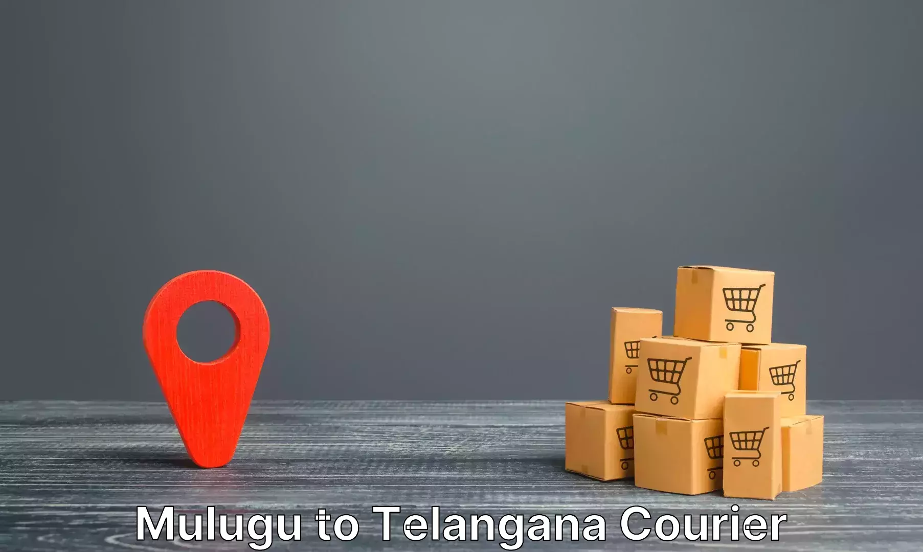 Doorstep luggage collection Mulugu to Thirumalagiri