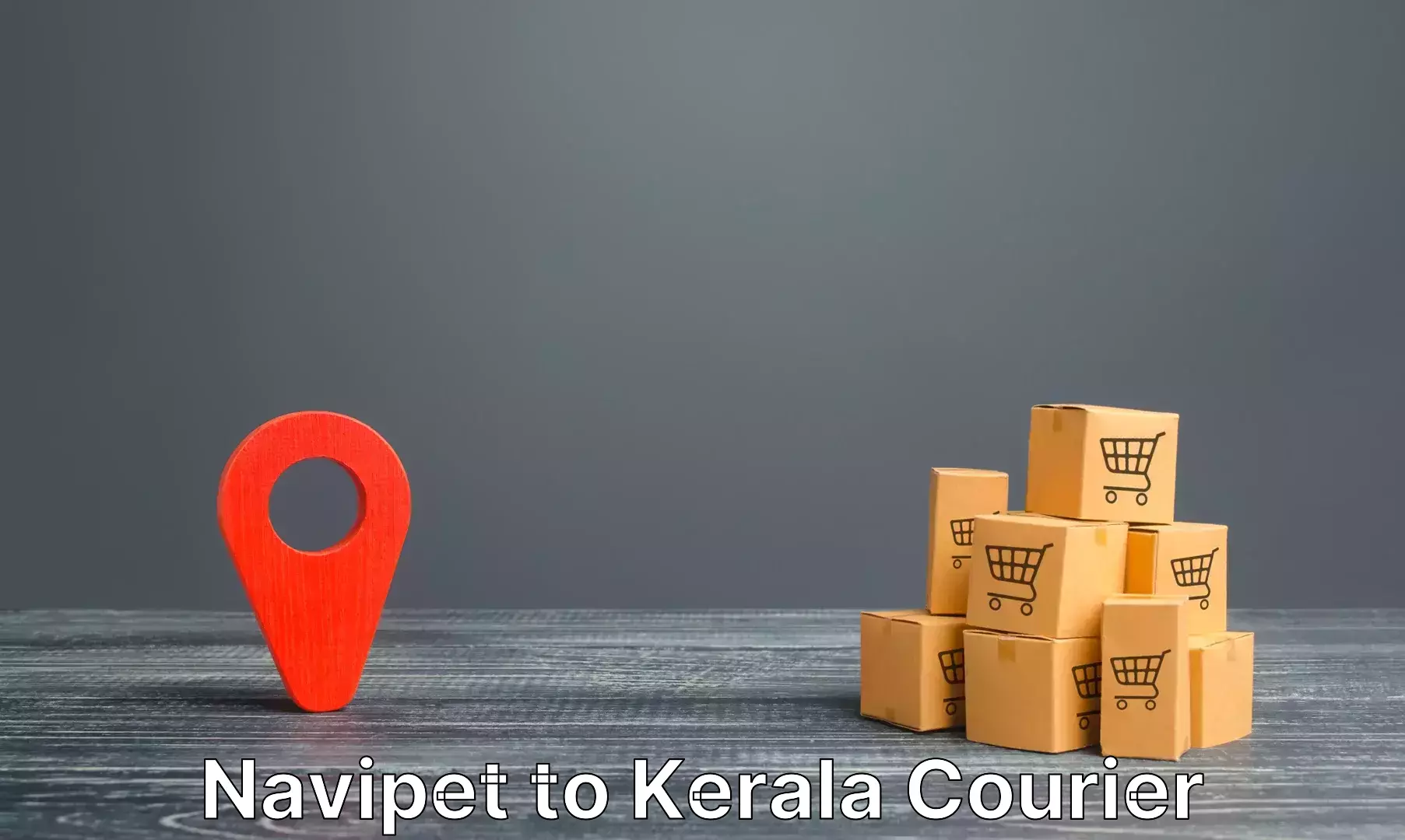 Luggage shipping logistics in Navipet to Munnar