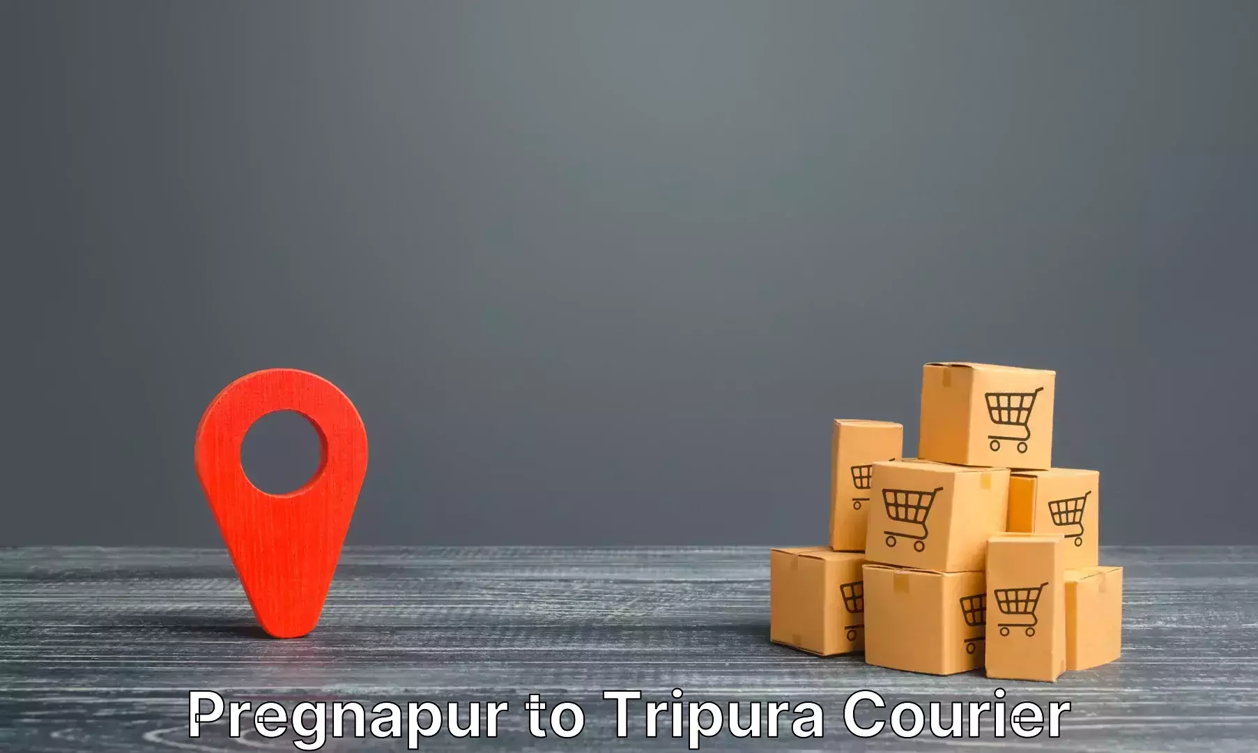 Baggage courier optimization Pregnapur to Udaipur Tripura