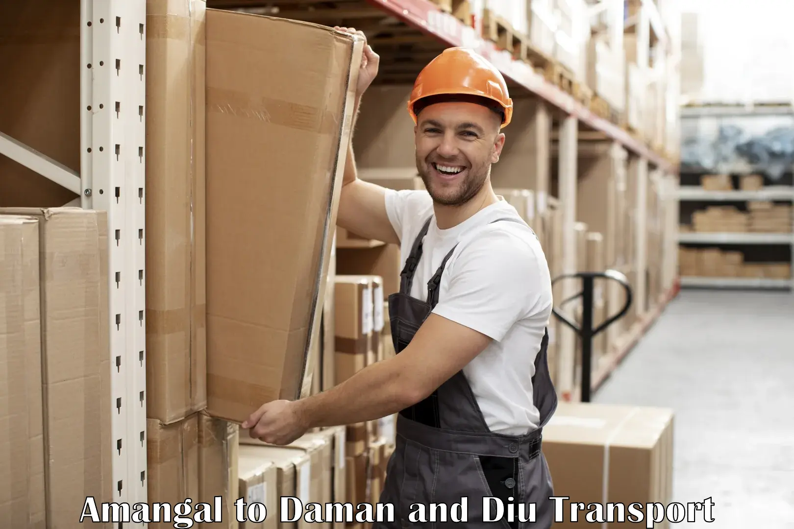 Container transport service Amangal to Daman