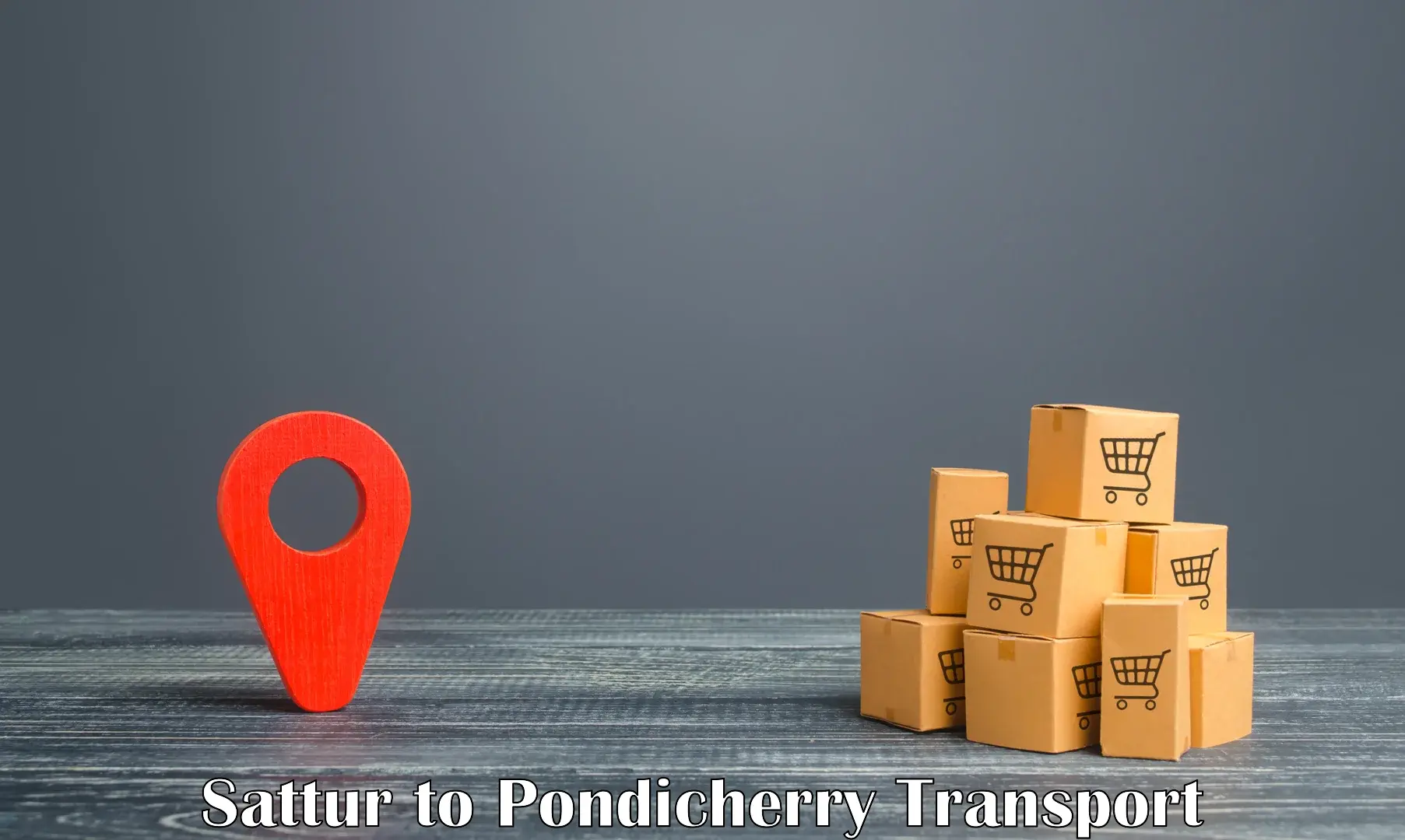 Parcel transport services Sattur to Pondicherry University