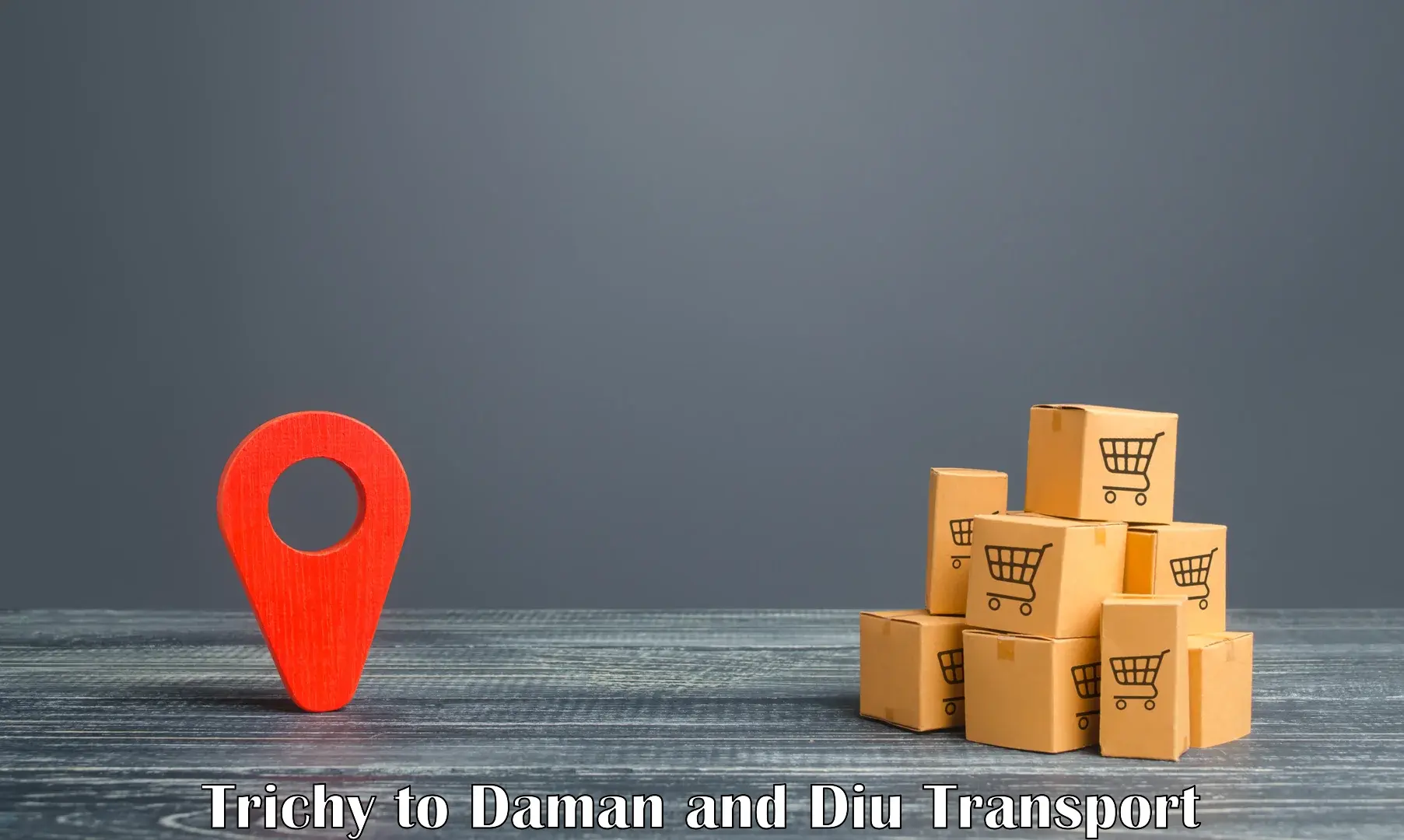 Lorry transport service Trichy to Daman and Diu