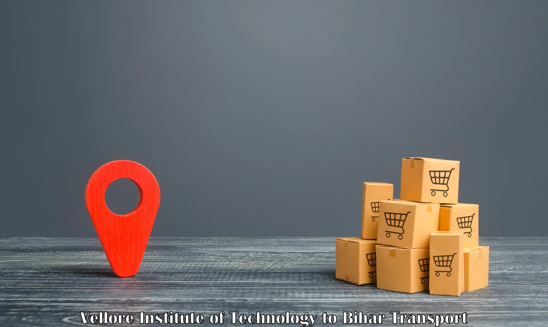 Parcel transport services Vellore Institute of Technology to Nalanda