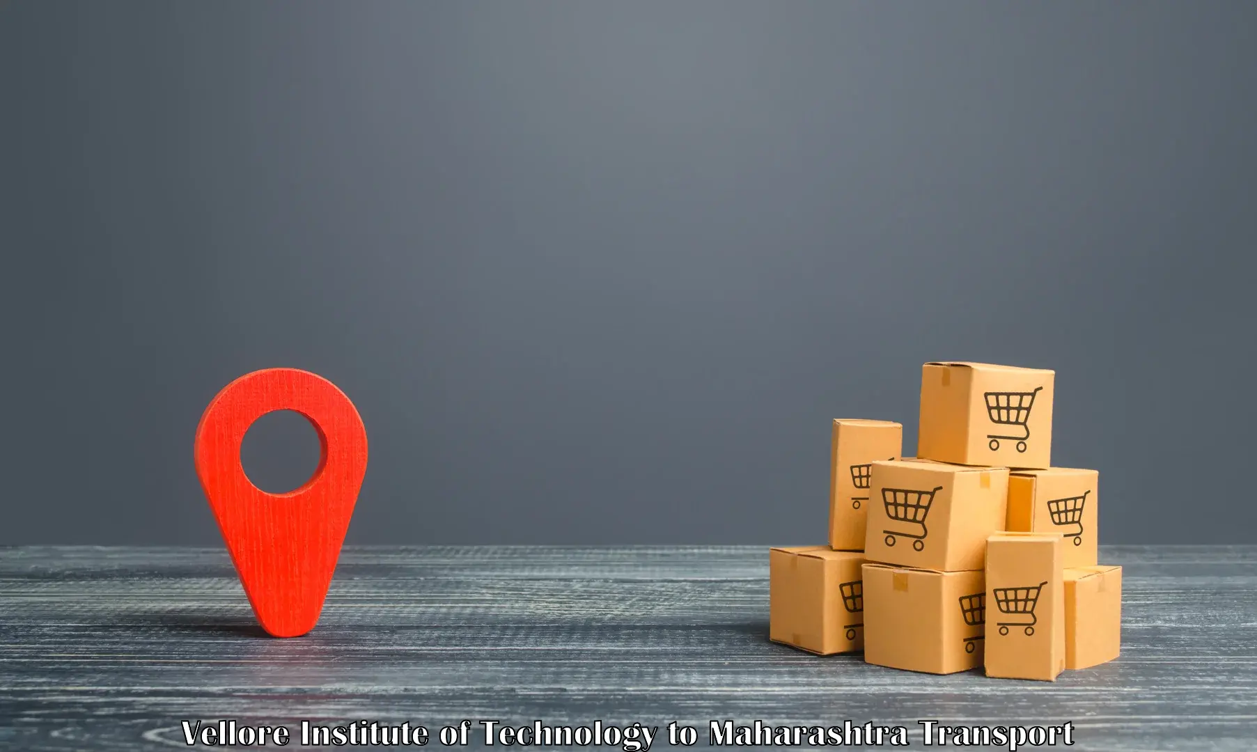 Package delivery services in Vellore Institute of Technology to Kopargaon