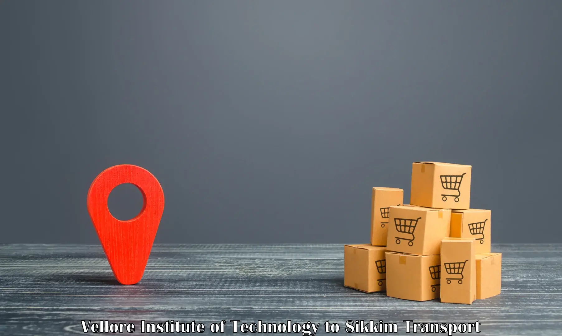 Package delivery services Vellore Institute of Technology to North Sikkim