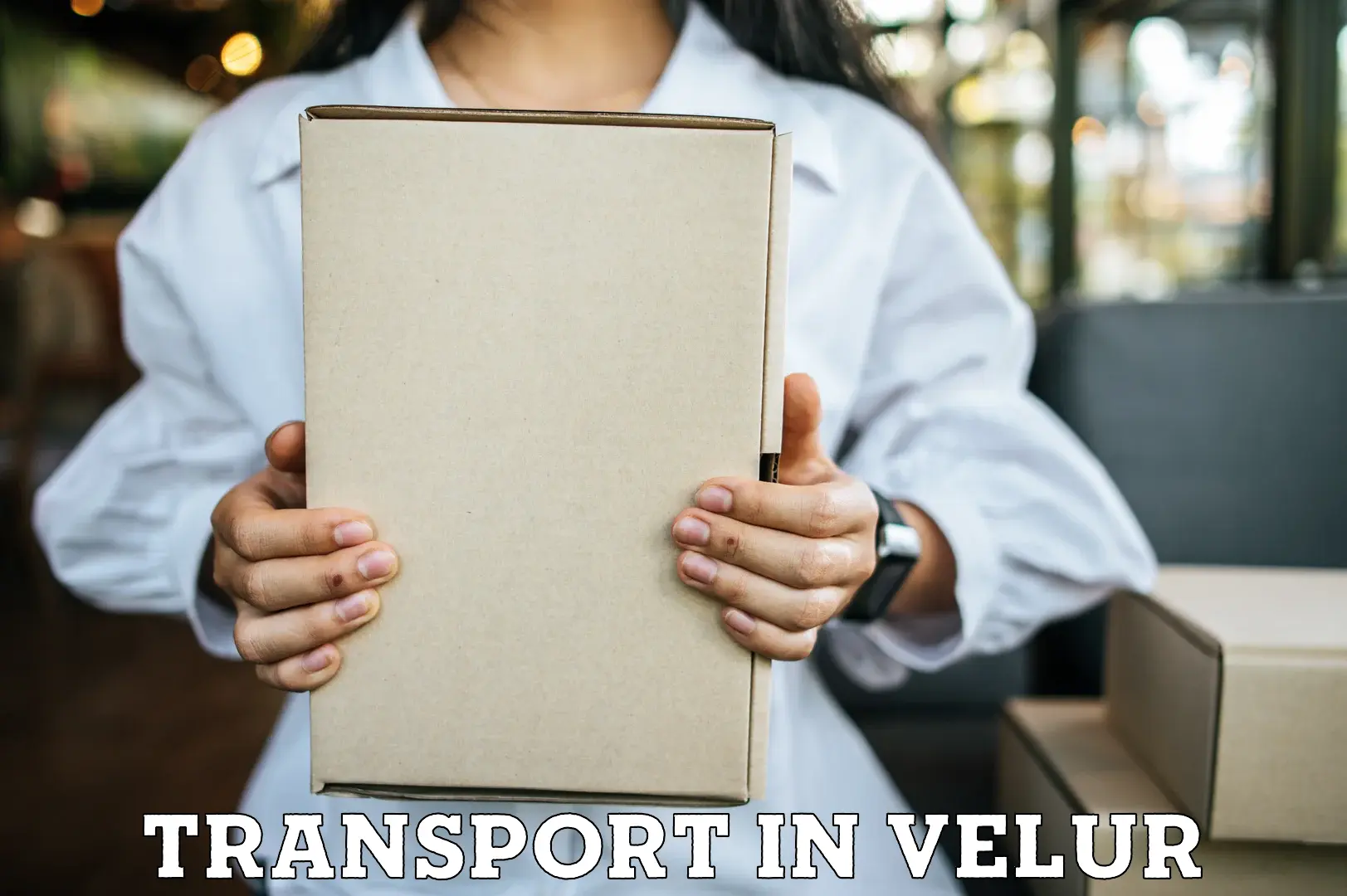 Cargo train transport services in Velur