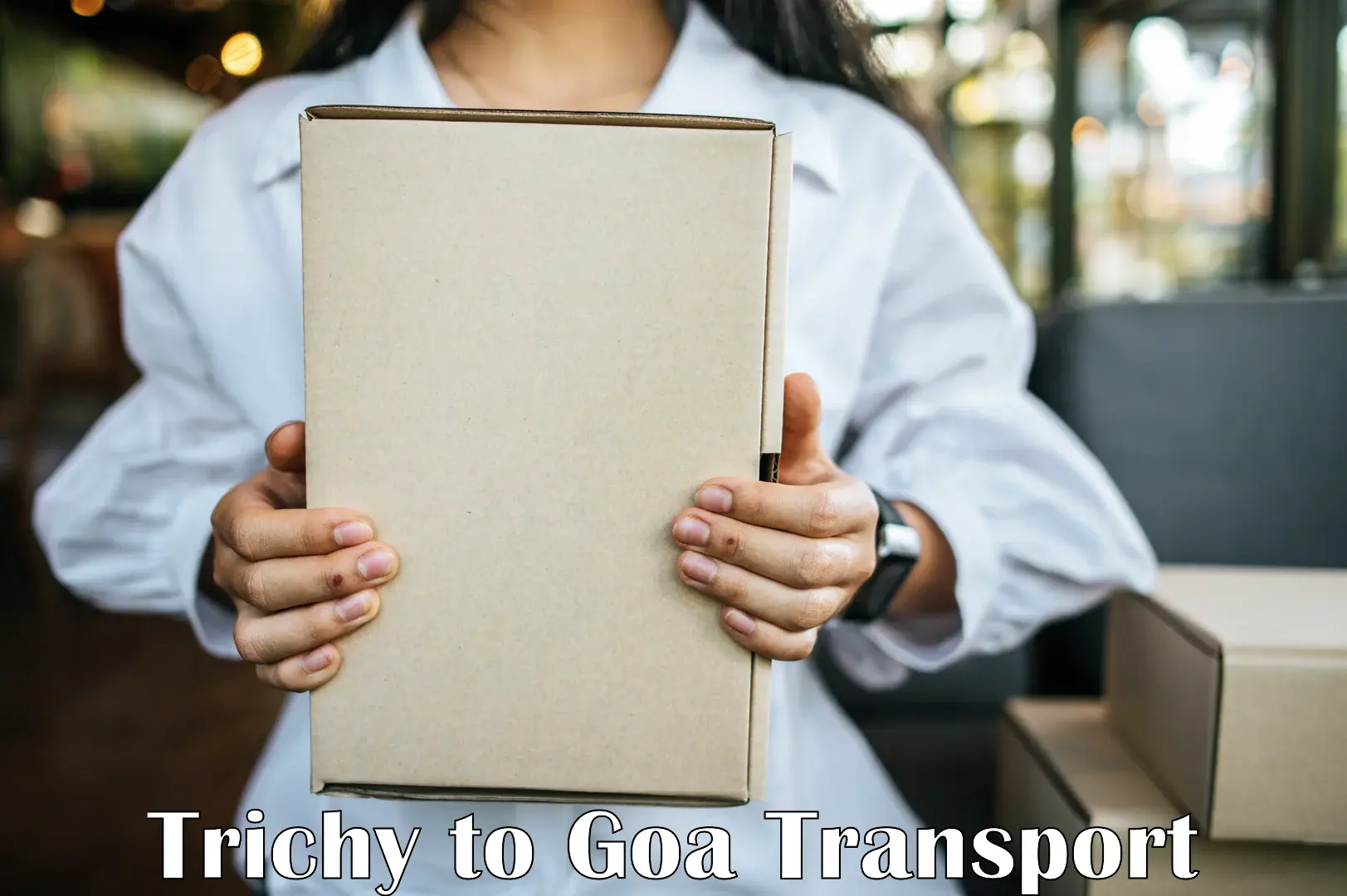 Intercity goods transport Trichy to Goa